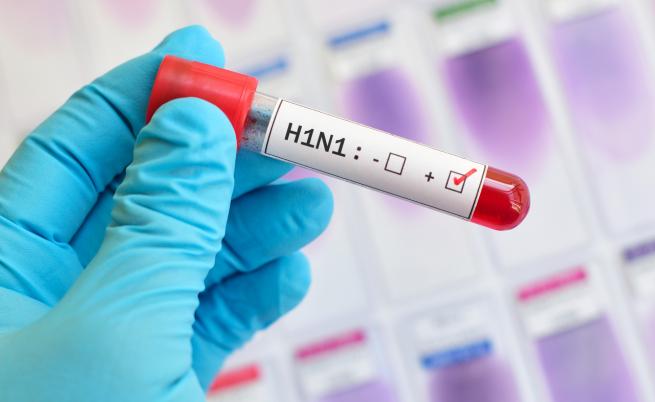 Потвърдиха два нови случая на свински грип у нас