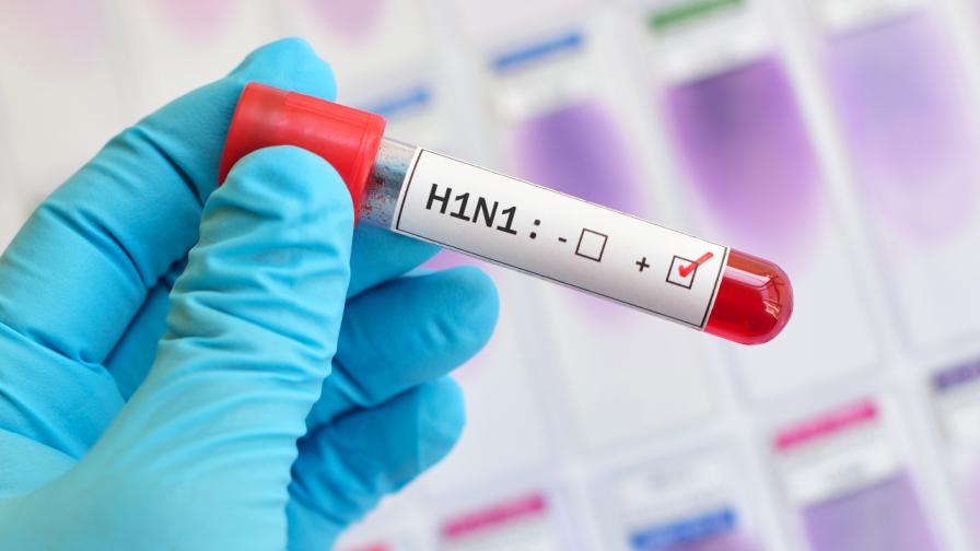 Първи случай на нов щам на свински грип бе установен във Великобритания