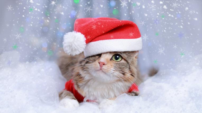  Дневен хороскоп за четвъртък, 21 декември 