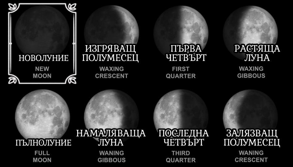 <p><strong><b>Новолуние </b></strong><strong><b>(</b></strong><strong><b>New Moon</b></strong><strong><b>)</b></strong><br />
Вие сте пълни с енергия и вълнение, понякога наивни, но вашата вяра, че всичко е възможно, често е най-големият ви дар. Импулсивни сте и вземате решения въз основа на инстинктите си. Имате много хобита и интереси, като започвате нови неща с ентусиазъм, но невинаги ги довършвате. Вашата енергия ви тласка да работите с голяма интензивност и скорост, но може да се изтощите, преди да завършите мисията си. Въпреки че се наслаждавате на свободата, жадувате за сигурност, насоки и &bdquo;родителство&ldquo; по-дълго от повечето хора. Може да търсите приятели и партньори, които да се грижат за вас, докато не развиете чувство на увереност в способността си да се грижите сами за себе си. Обикновено хората, родени във фаза на Новолуние, постигат успех в ранна възраст. Но те трябва да поддържат същата интензивност и начин на мислене през целия си живот.</p>