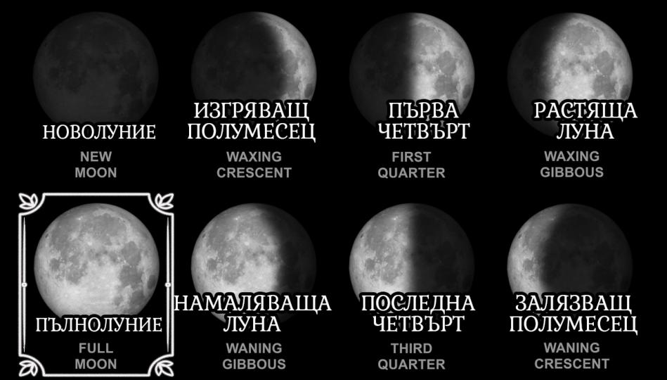 <p><strong>Пълнолуние (Full Moon)</strong><br />
Ако сте родени по Пълнолуние, водите пълноценен живот с разнообразни преживявания. Вие растете и се учите чрез вашите взаимоотношения &ndash; независимо дали са лични или професионални, връзките стимулират вашето саморазвитие. Вие сте много емоционални и интуитивни. Умеете да довеждате нещата до резултат. Наясно сте с целта на живота си още от ранна възраст и прекарвате остатъка от живота си, изпълнявайки я. Умеете да смесвате инстинкт с логика и креативност с практичност. Хладни и обективни, когато става въпрос за кариерата, сте амбициозни и спокойни под натиск, което ви прави много подходящи за ръководни позиции. Недостатъкът ви е, че в личните си отношения може да изпитате необясними страхове и вина. Поемете контрол над емоциите си и не търсете емоционална подкрепа изцяло и единствено от партньора си &ndash; това ще гарантира, че и двамата ще се радвате на по-пълноценни интимни отношения. Усилията ви през целия живот ще бъдат признати, след като преминете средната възраст.</p>