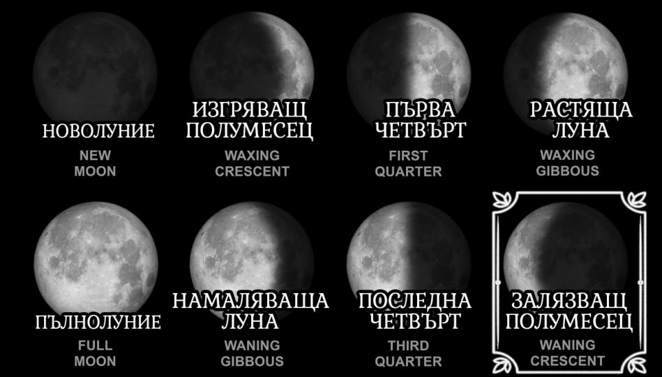 <p><strong>Залязващ полумесец </strong><strong>(Waning Crescent (Balsamic) Moon)</strong><br />
Често дълбоко размишлявате относно екзистенциални мисли и други идеи. Времето насаме за размисъл и релакс е важно за вас. Физическата активност, както и удоволствието от храната, модата, музиката и изкуството, са ключът към вашето удовлетворение. Вие сте по-скоро единак, който се радва на компанията на няколко избрани хора. В живота си може да преживеете кратки и интензивни кармични връзки. Тази фаза на Луната е преход, при който човек пътува към себе си, размишлява върху миналото, поправя грешките си, ако има такива, и се подготвя за ново начало. Затова родените по време на Залязващ полумесец наследяват интуитивната и съзерцателна природа, характерна за тази фаза. Умеете да довеждате далата си докрай, но трябва да внимавате и да преценявате кога е време да сложите край на дадена връзка или занимание. По-късните ви години ще донесат повече успех и щастие в сравнение с младостта ви.</p>