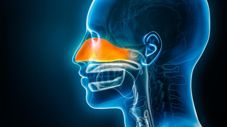  9 аргументи, заради които е допустимо да имате железен усет в устата 