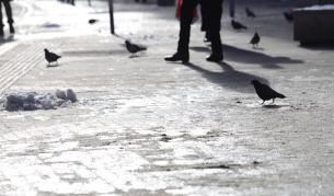 Жълт и оранжев код за опасно време: Поледици, сняг и дъжд в събота