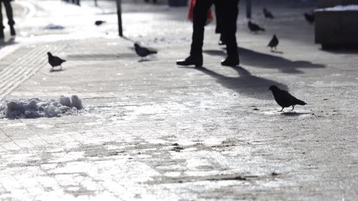 Жълт и оранжев код за опасно време: Поледици, сняг и дъжд в събота