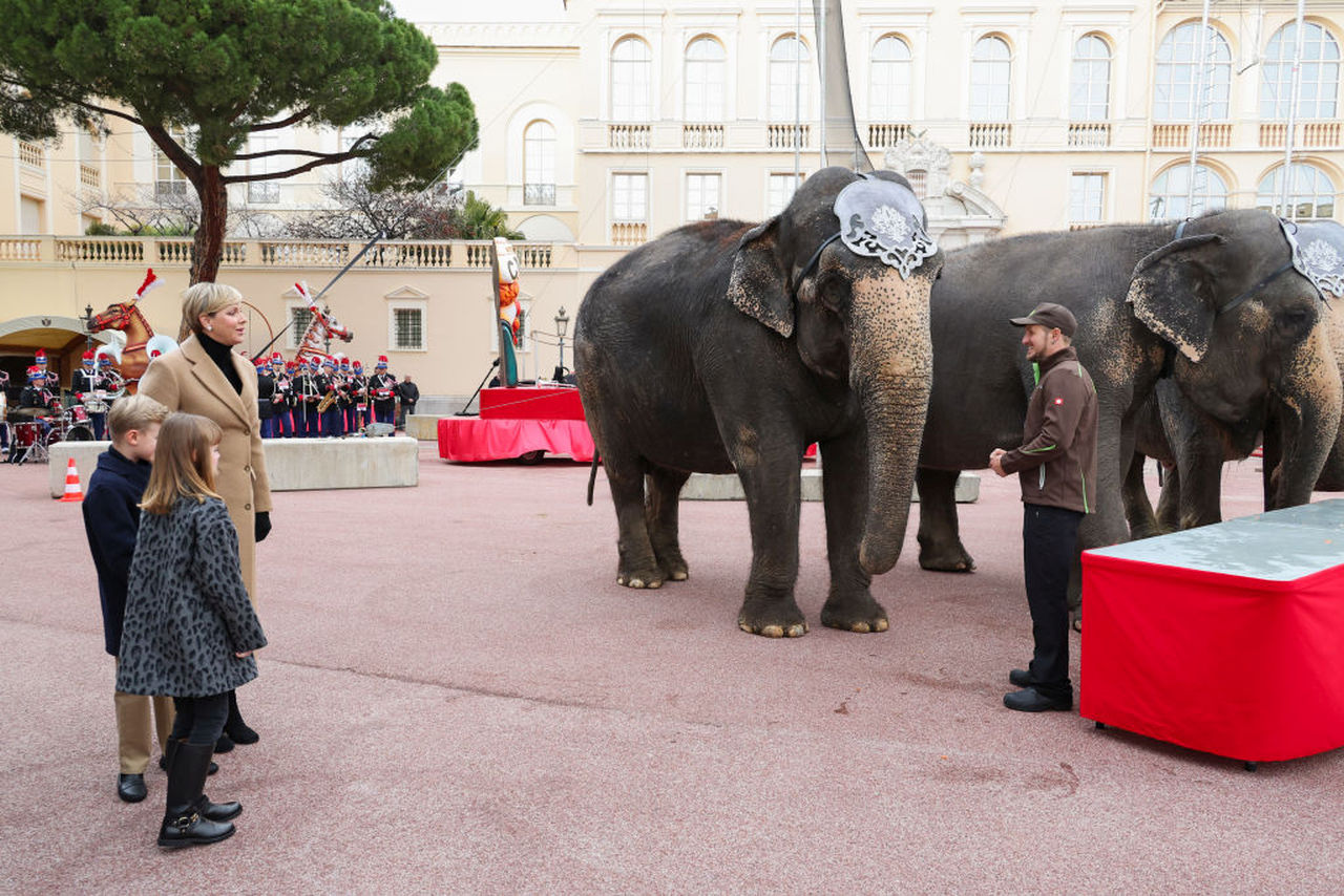 <p>Принц Алберт и принцеса Шарлийн бяха забелязани с 9-годишните си близнаци принцеса Габриела и принц Жак на ежегодния Международен цирков фестивал в Монте Карло в събота в сладък семеен момент в първата им публична поява за годината.</p>