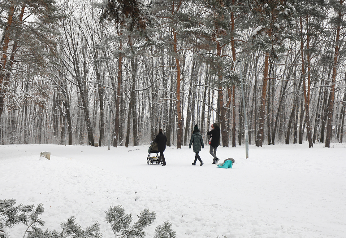 <p>Северен парк София</p>