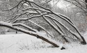 <p>Зима посред пролет: Обилен сняг падна&nbsp;в Румъния</p>