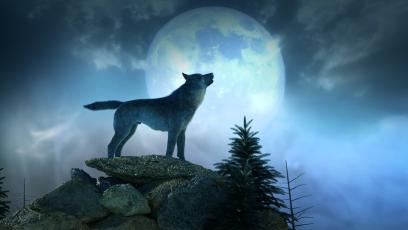 What January's Full Wolf Moon in Leo Means for Every Zodiac Sign