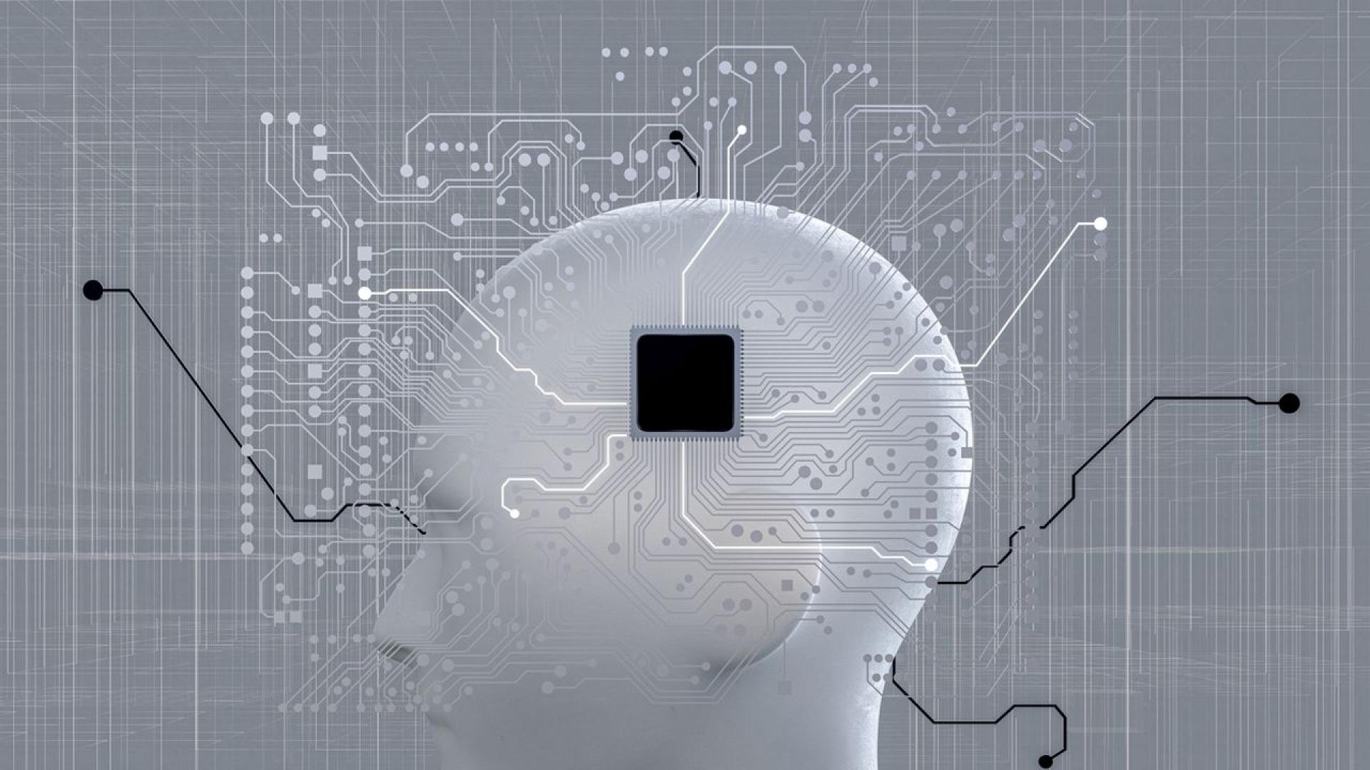 От суровините необходими за производството им до машините които ги