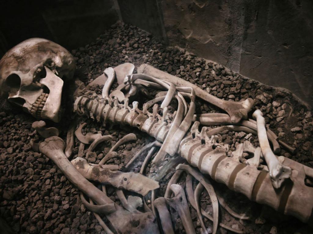 Непокътнати останки на осем средновековни благородници са открити по време