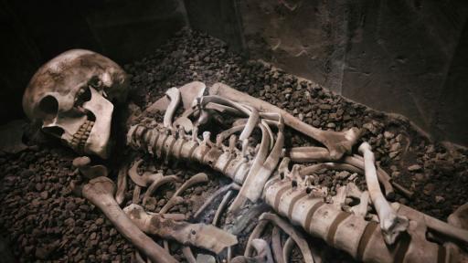 Без ръце и крака с "дяволски пръсти": Мистерия около 4 скелета, открити в квартира на Хитлер