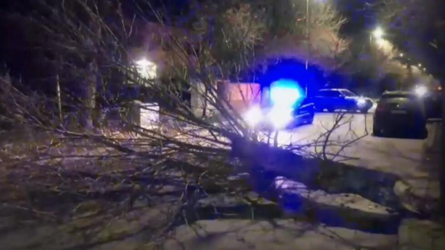 Ураганен вятър в Димитровград, дърво падна и блокира булевард (ВИДЕО)