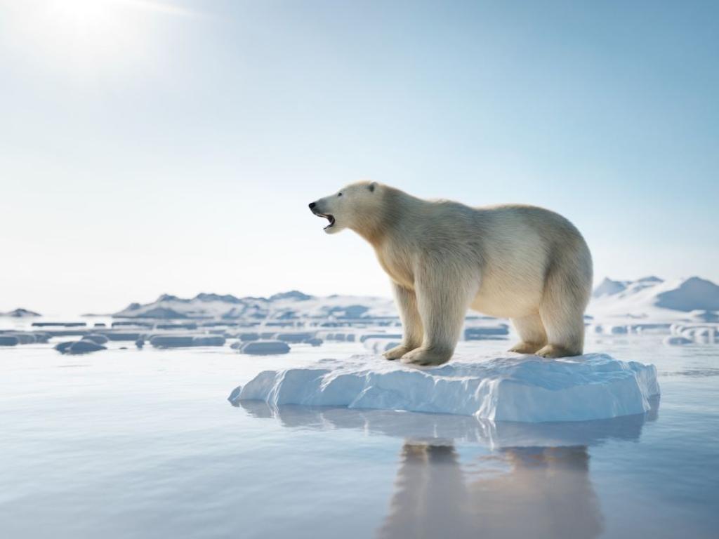 Вследващите няколко години в Арктика може да настъпят първите летни