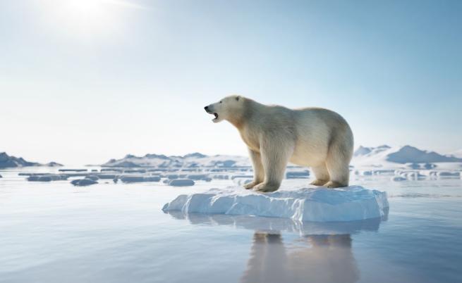 Първи дни без лед в Арктика: Ето кога може да настъпят