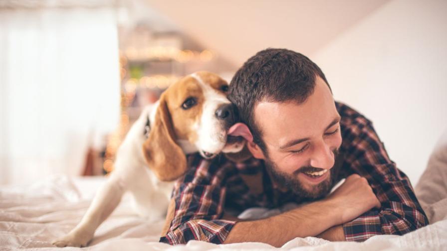 Проучване показа, че кучетата наистина намаляват стреса при човека