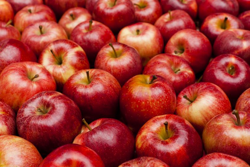 <p><strong>Червени ябълки&nbsp;</strong></p>

<p>Порция от 9 парчета ябълка (приблизително 100 гр.) съдържа 53 калории, 12,3 гр. въглехидрати, 0 гр. протеин и 0 гр. мазнини.&nbsp;</p>