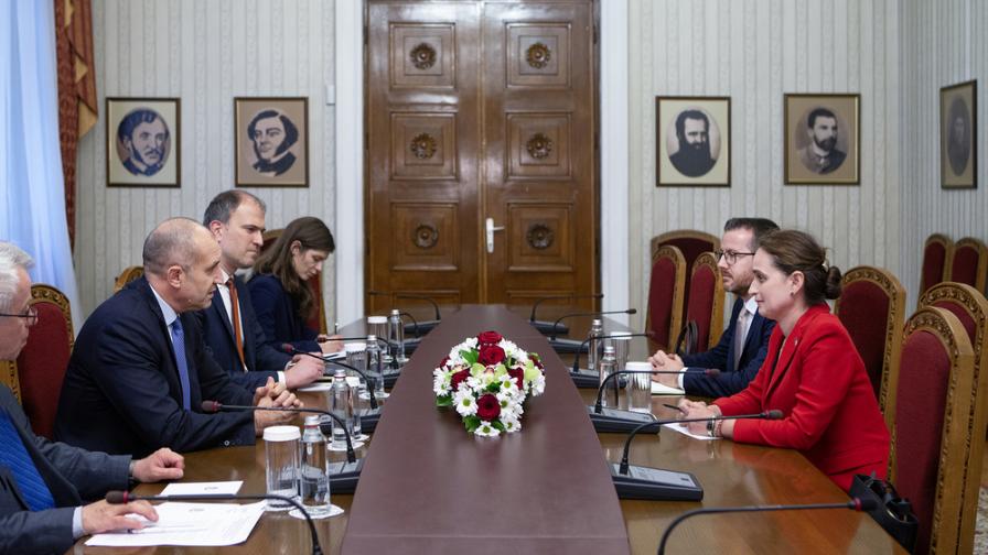Президентът Радев се срещна с шефа на представителството на ЕК в България