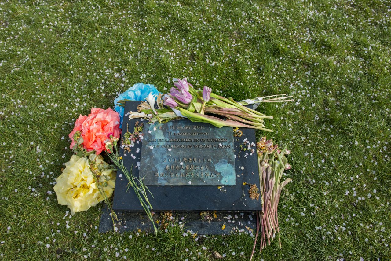 <p>АЕЦ Фукушима - мемориал<br />
<br />
Паметен мемориал на жертвите от трагедията в черешовата градина в Амстердам.&nbsp;</p>