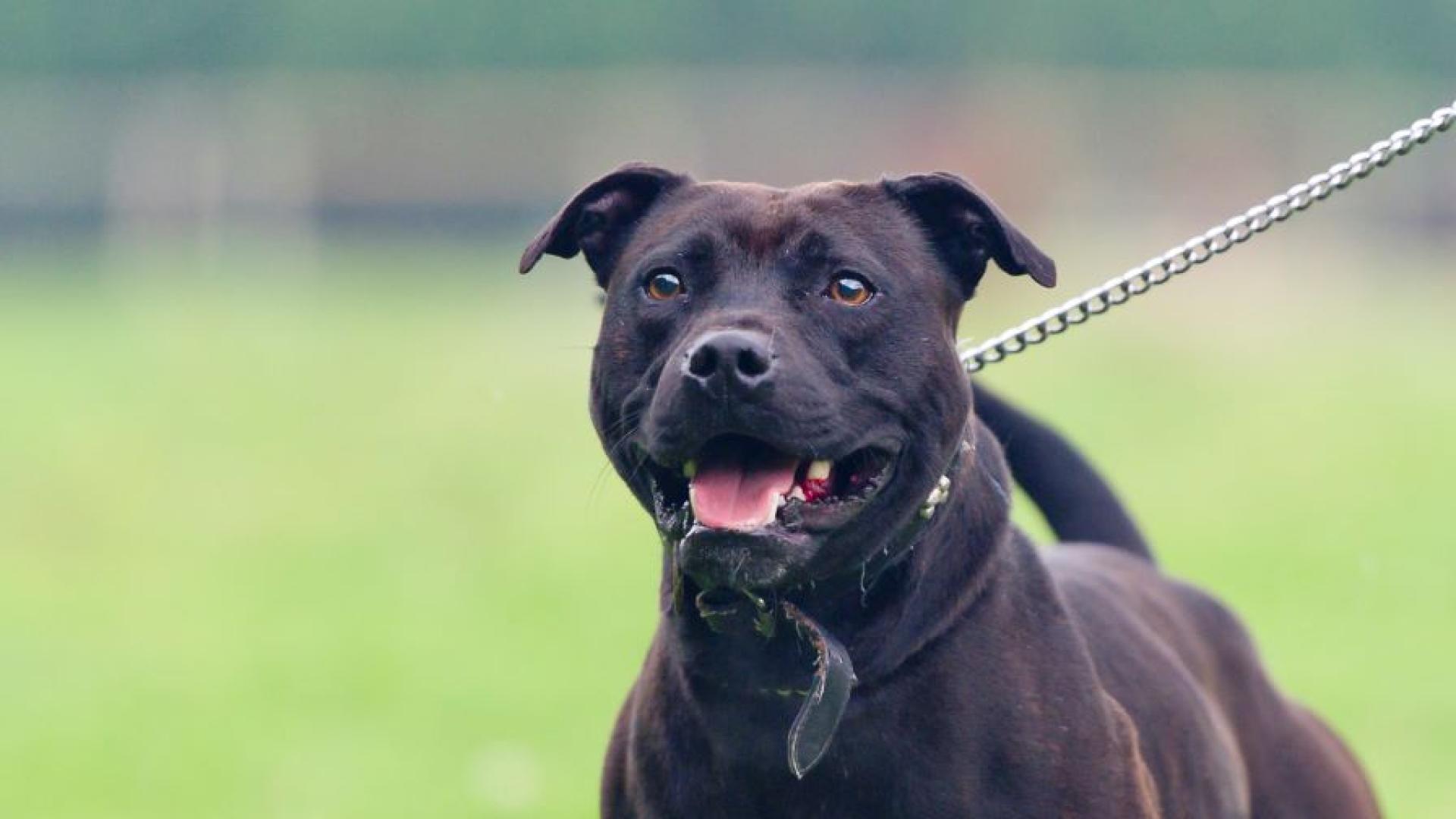 Опасна ситуация се е разиграла в столичен блок в късните