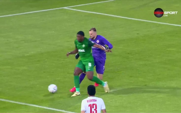 Имаше ли дузпа за Лудогорец? (видео)