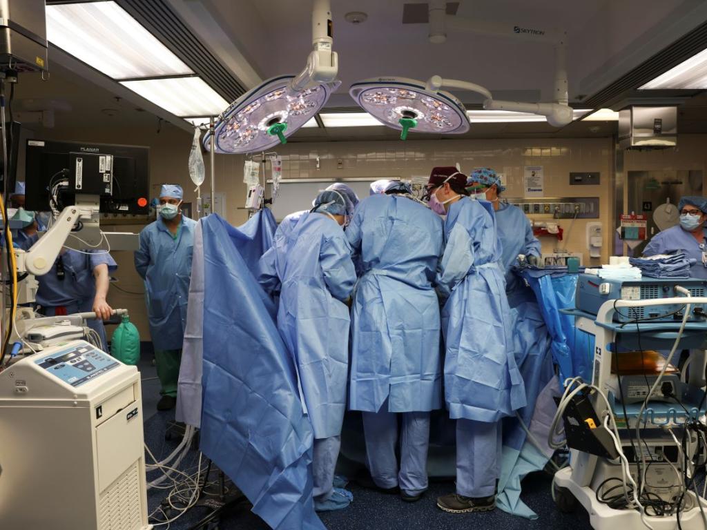 Първият в света пациент с трансплантиран свински бъбрек почина почти