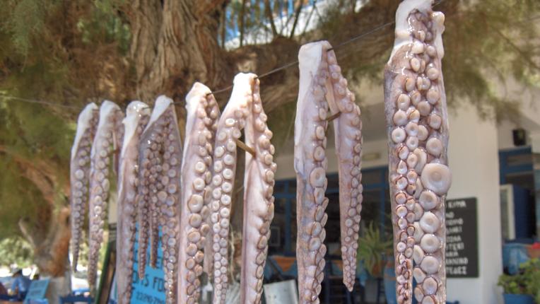  Сифнос – най-вкусният гръцки остров! 