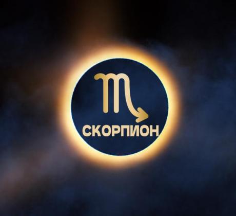 2026 година носи много различни енергии и съответно различни преживявания