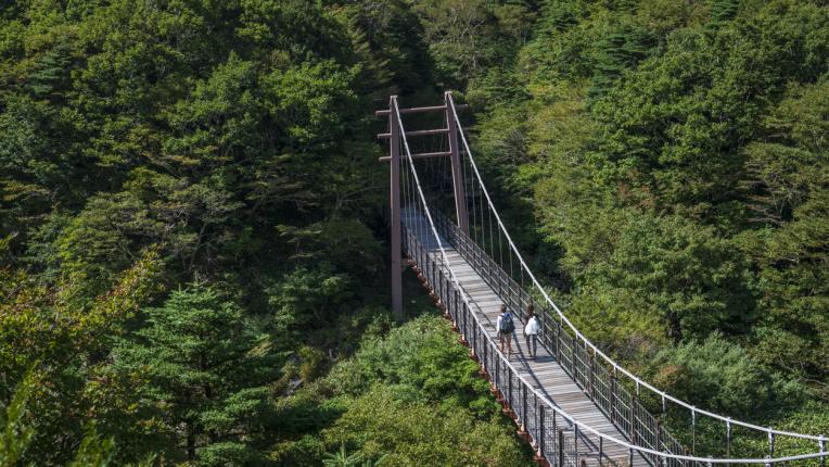  5 неща, които ще ви впечатлят на остров Джеджу - южнокорейските Хаваи 