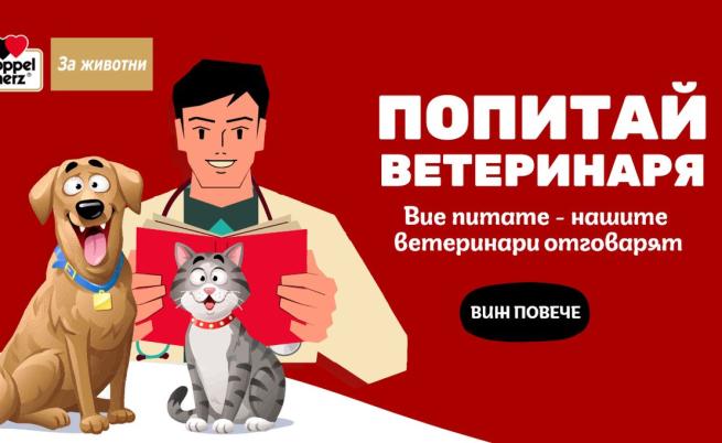 DogsAngCats.bg помага на собствениците на домашни любимци с новата кампания „Попитай ветеринаря“
