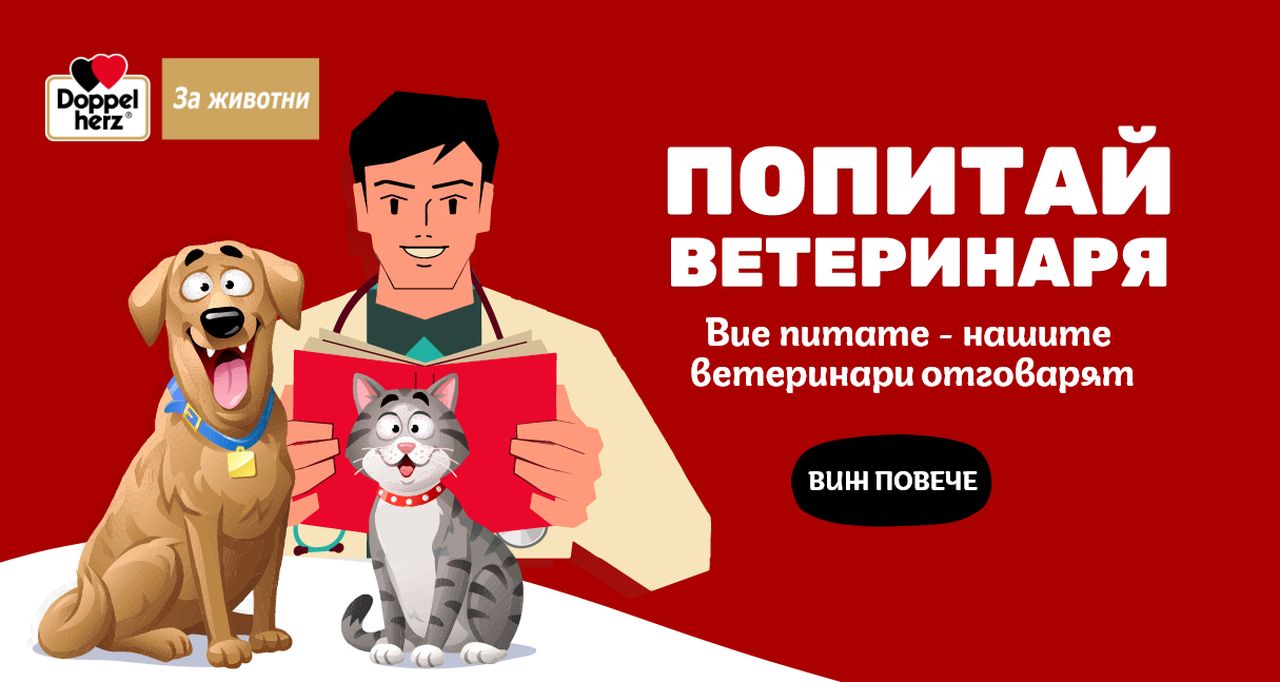 DogsAngCats.bg помага на собствениците на домашни любимци с новата кампания „Попитай ветеринаря“