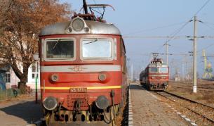 Паднало дърво спря влака между гарите Мирково и Столник