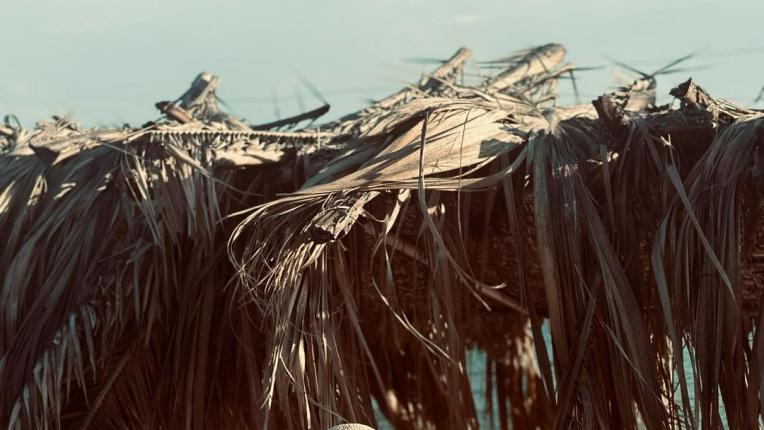  Лятото на Мария Игнатова след Един за различен 