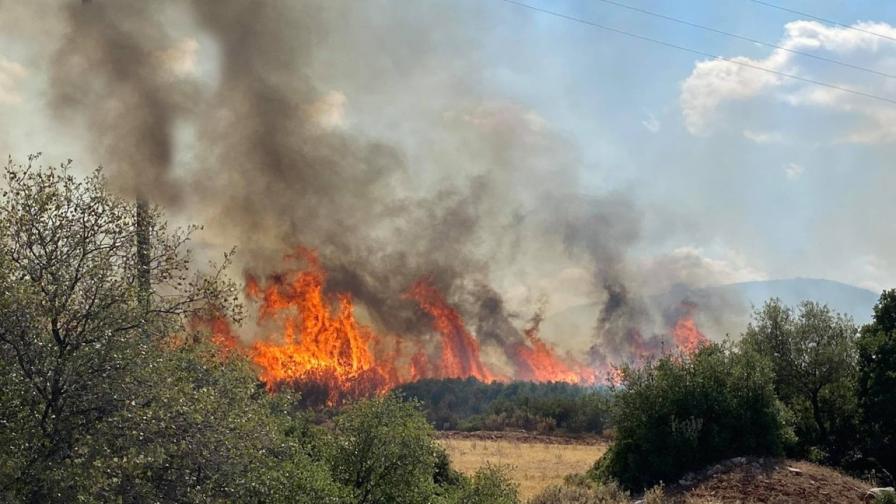 Екипаж на яхта запалил горския пожар в Гърция?