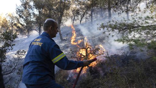 Огнен ад! Гърция се бори десетки горски пожари