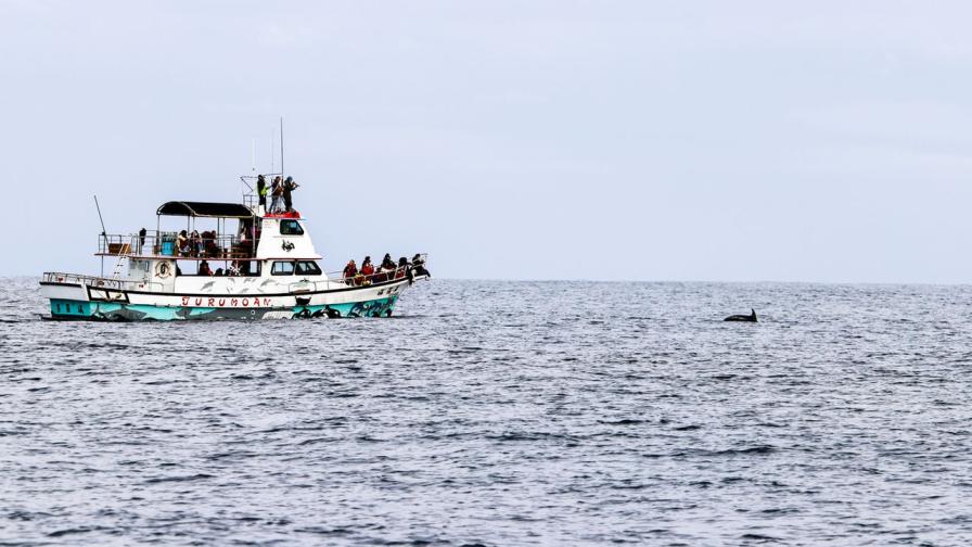 Китай конфискува тайванска лодка заедно с екипажа за незаконен риболов