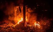 Огнен ад в Калифорния: Пожари пламнаха на фона на горещата вълна