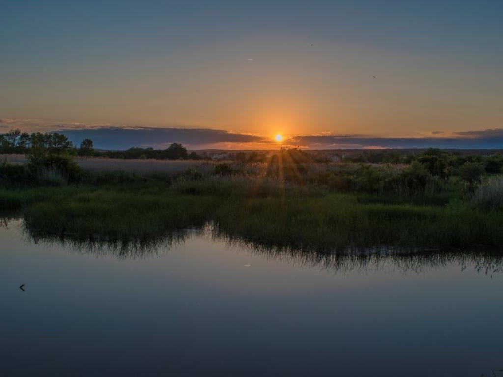 Родители подават сигнали за лоши условия на детски лагер на
