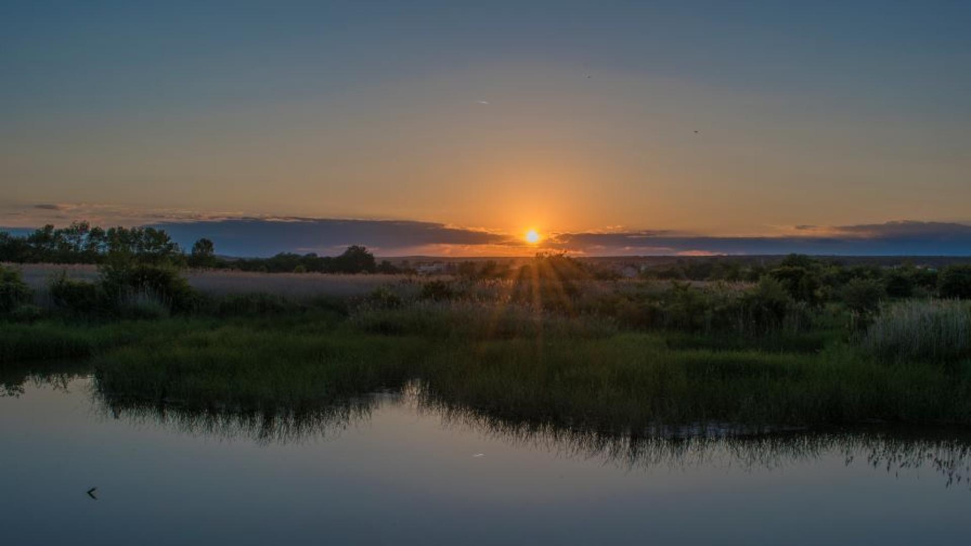 Родители алармират за напрежение и агресия по време на детски лагер в Шкорпиловци|Vesti.bg