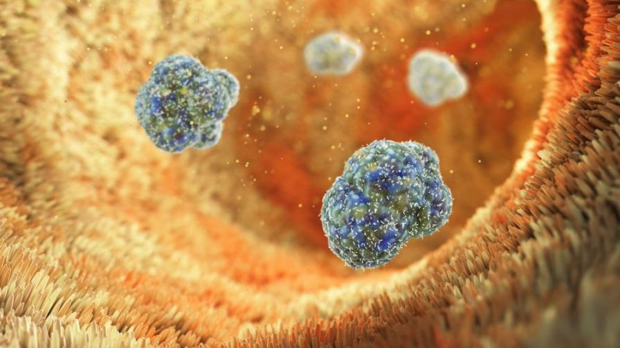 Ново огнище на бруцелоза в Симитли