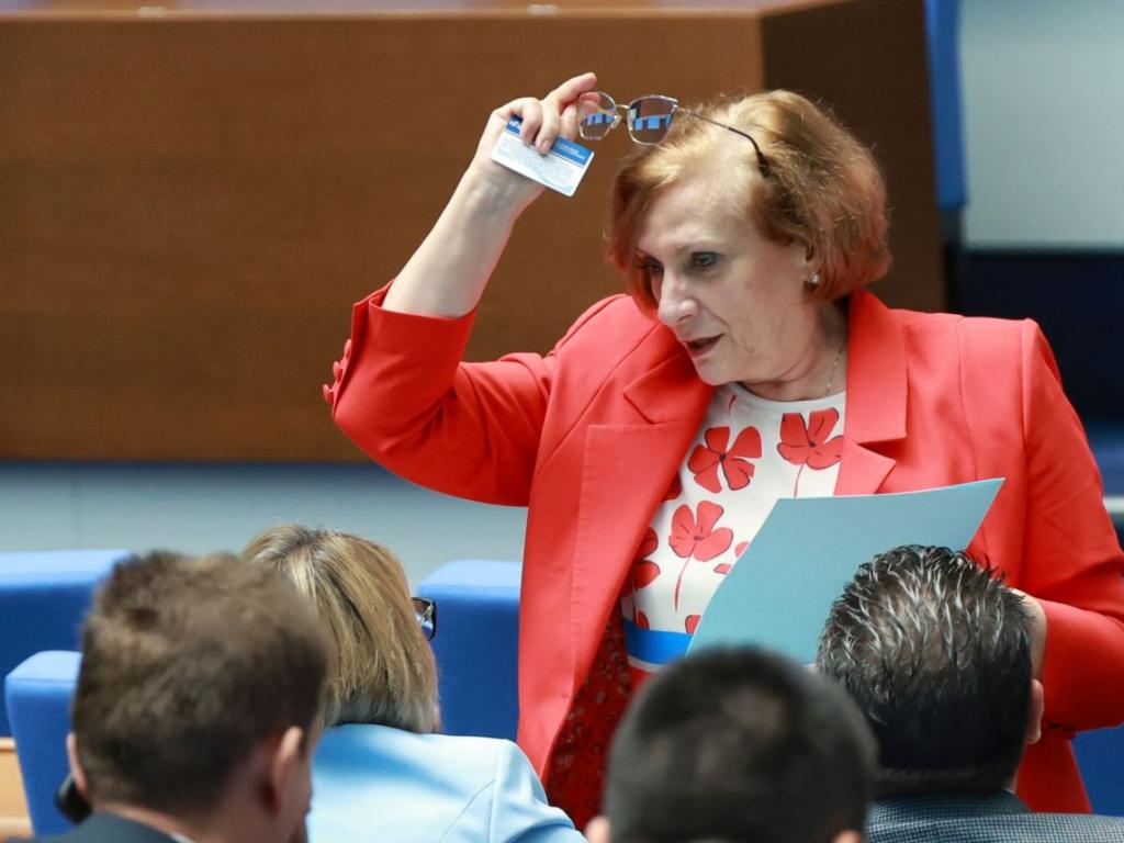 ДПС е голяма партия с много колективни органи – те