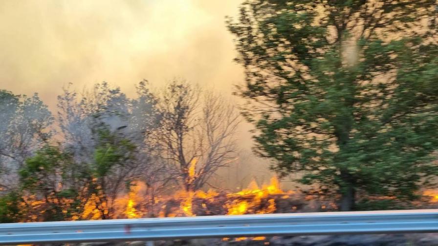 Три пожара край Варна, димът блокира АМ "Хемус"  (СНИМКИ/ВИДЕО)