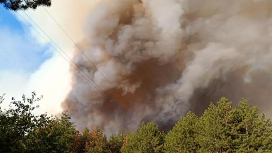 След пожара в Харманли: Фермерът, чието стадо изгоря, ще получи 45 000 лв. помощ