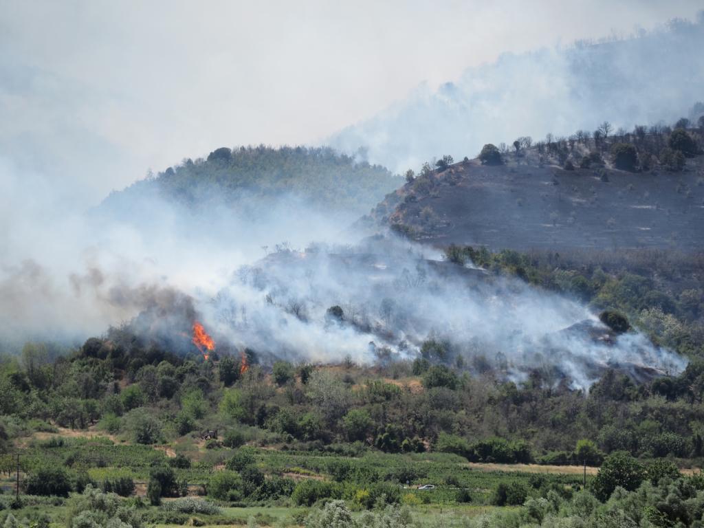 Огромен пожар бушува край община Струмяни в Благоевградска област От