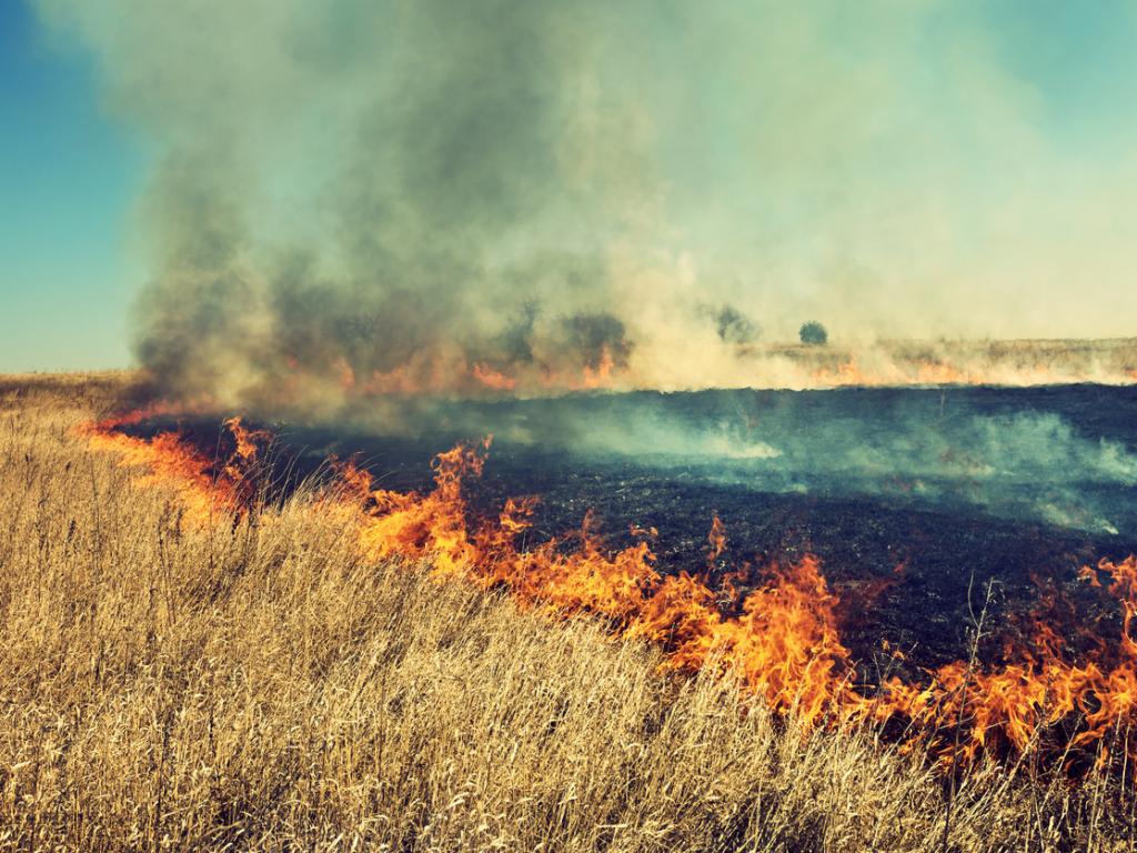 Единадесет екипа на пожарната гасят пламнали сухи треви и стърнища