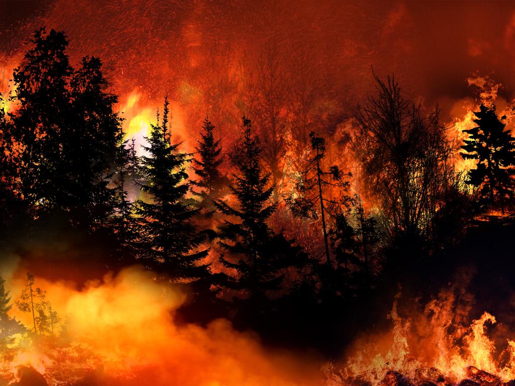 Дъждът в последните часове помогна на пожарникарите в битката с