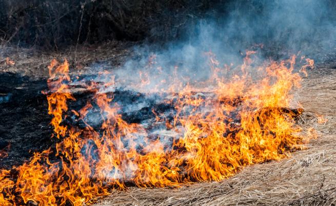 Пожар избухна във Витоша