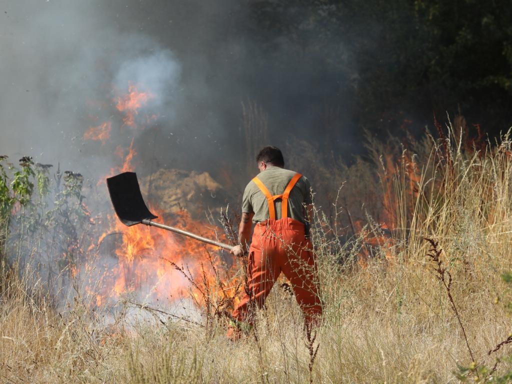 Пламнаха сухи треви в столичния квартал Христо Ботев в близост