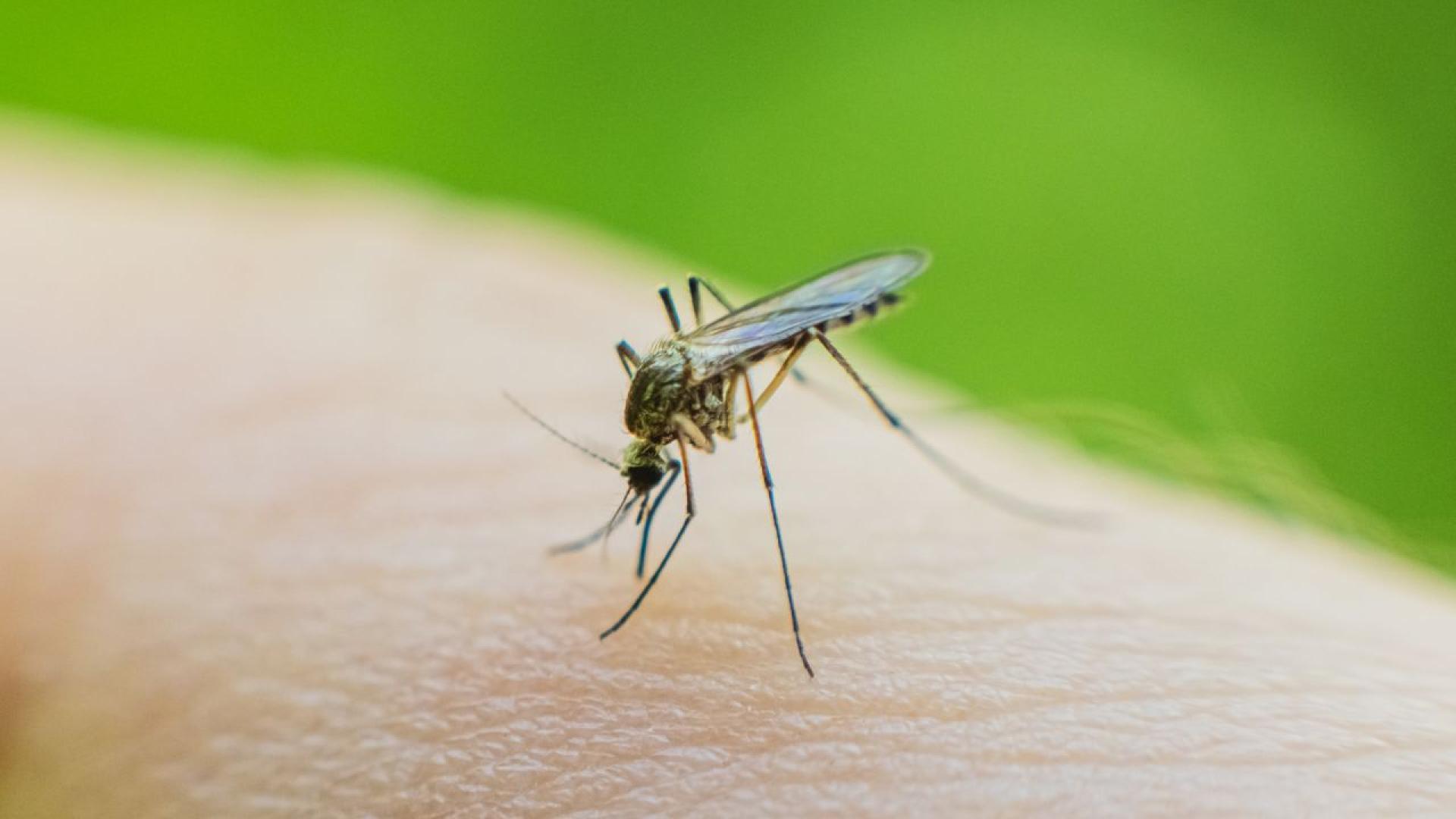 Майка се бори за живота си след като падна по