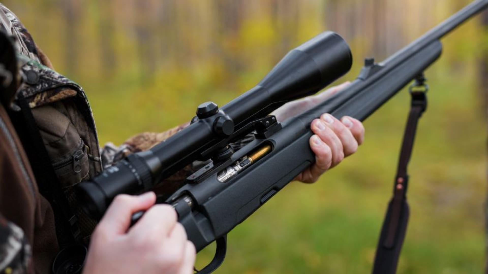 Вполицията е получен сигнал за убито куче в землището на